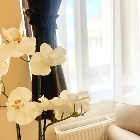 Apartment Next Constanta
